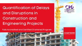 Quantification of Delays and Disruptions in Construction and Engineering Projects